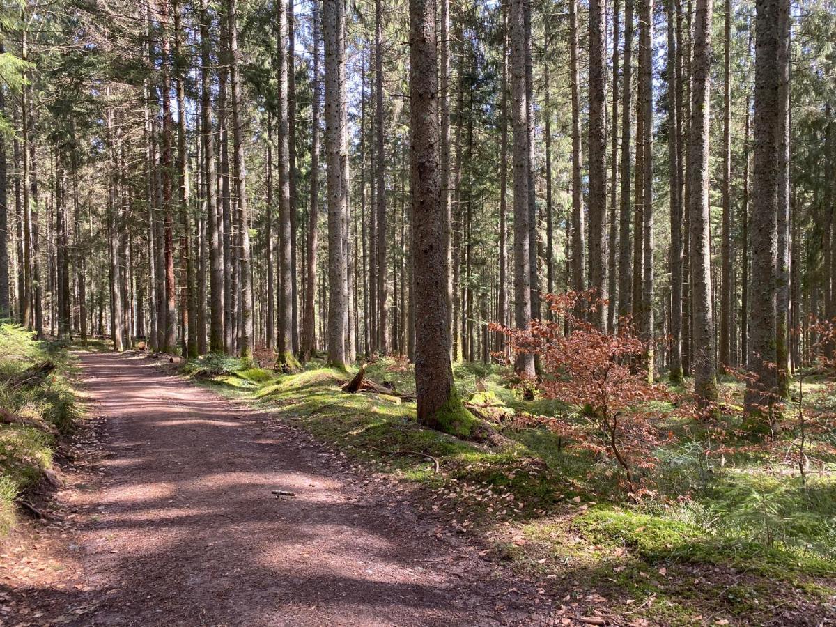 Ferienwohnung Lang - Schoene 3-Zimmer-Wohnung Bonndorf im Schwarzwald Eksteriør billede
